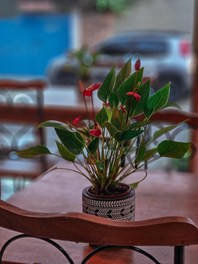 Bliss Hoteis Centro Armacao dos Buzios Bagian luar foto Anthurium